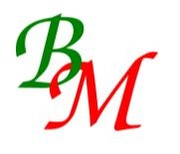 Logo of Bigmachini Enterprises LTD
